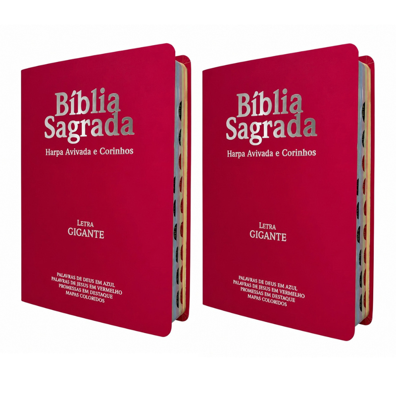Kit 02 Bíblias Pink Evangélicas Letra Gigante Capa Semiflexível ARC Com Harpa e Índice Feminina
