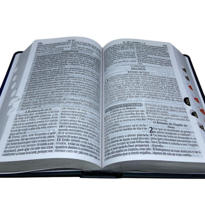 Bíblia 365 Dias Azul Letra Hipergigante Capa Dura Com Harpa e Índice Masculina Arc