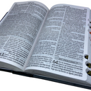 Bíblia 365 Dias Azul Letra Hipergigante Capa Dura Com Harpa e Índice Masculina Arc