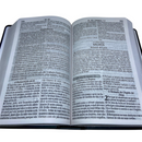 Bíblia 365 Dias Azul Letra Hipergigante Capa Dura Com Harpa Masculina Arc