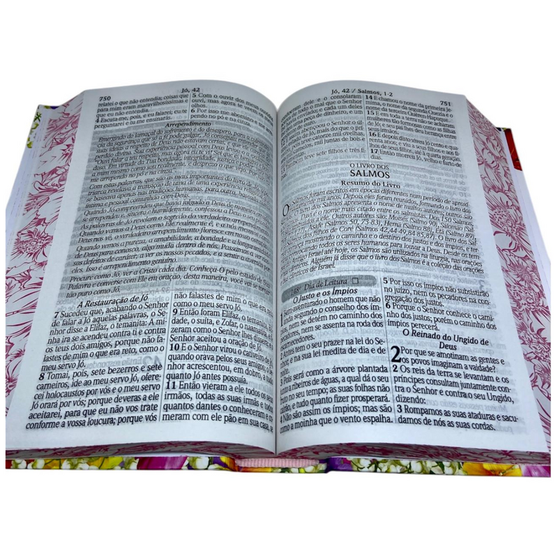 Bíblia 365 Dias Floral Letra Hipergigante Capa Dura Com Harpa Feminina Arc