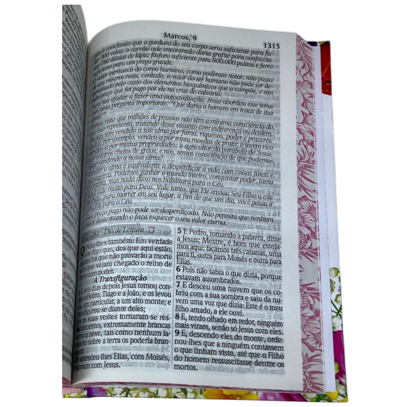 Bíblia 365 Dias Floral Letra Hipergigante Capa Dura Com Harpa Feminina Arc
