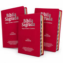 Kit 3 Bíblias Feminina PPM Pink Sagrada Letra Gigante Semi Flexível  Harpa ARC Feminina