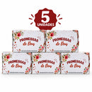 Kit com 5 Uni. de Caixinhas de Promessas Jardim com Mini Versículos Diários Para Lembranças Linguagem & e Presentes ARC