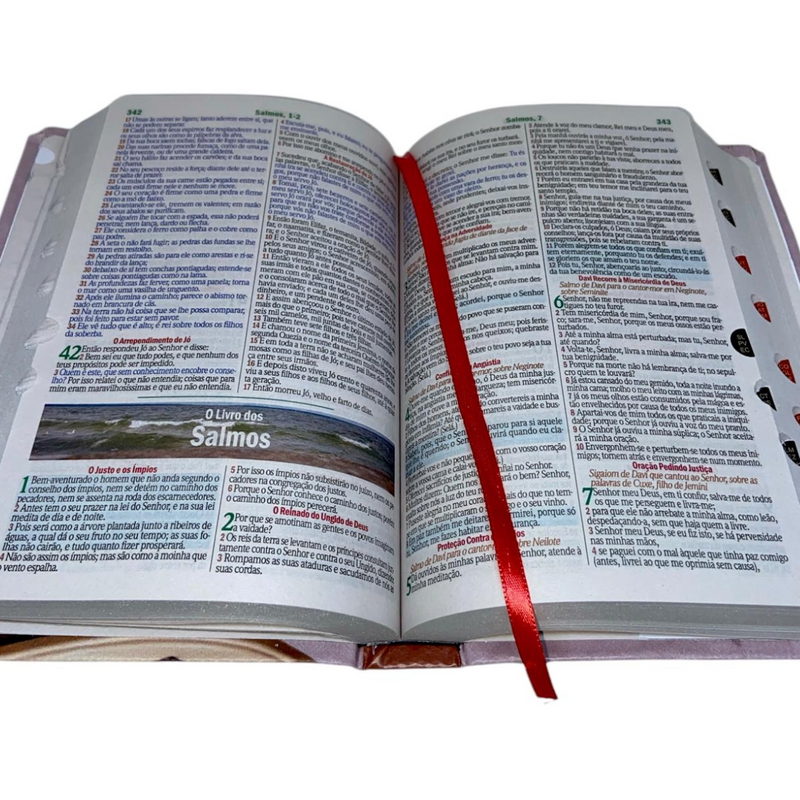 Bíblia Abençoada Por Deus Letra Gigante Capa Flexível Com Harpa e Índice Feminina Arc