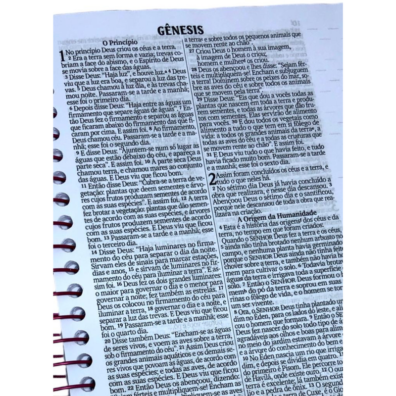 Bíblia Flores e Borboletas Letra Normal Capa Dura Com Espiral e Espaço Anotações Feminina Nvi