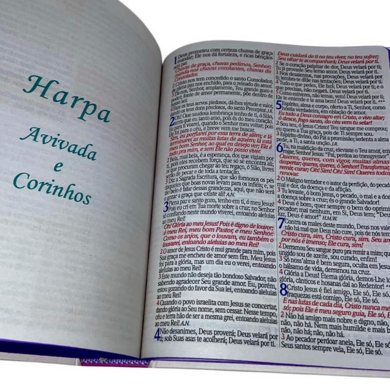 Bíblia Sagrada Letra Jumbo Capa Dura Com Harpa ARC Arranjo Floral Com Capa Protetora e Índice