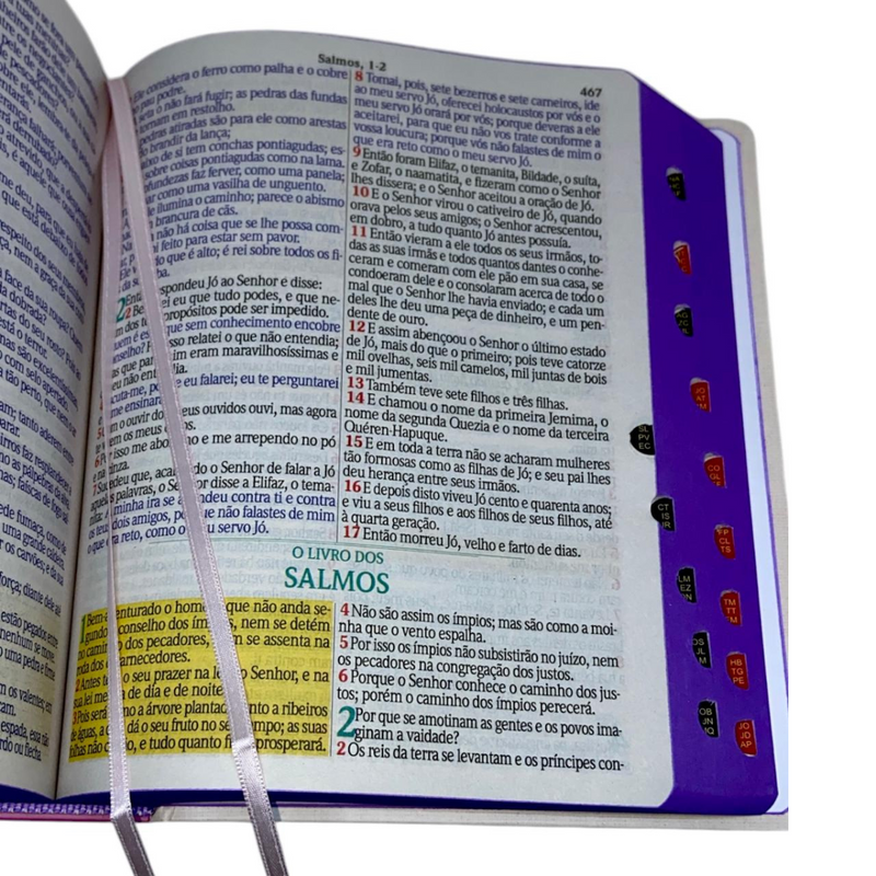 Bíblia Sagrada Letra Jumbo Capa Dura Com Harpa ARC Arranjo Floral Com Capa Protetora e Índice