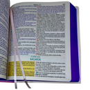 Bíblia Sagrada Cristã Letra Jumbo Grande Capa Dura Com Harpa ARC Arranjo Floral Com Capa Protetora