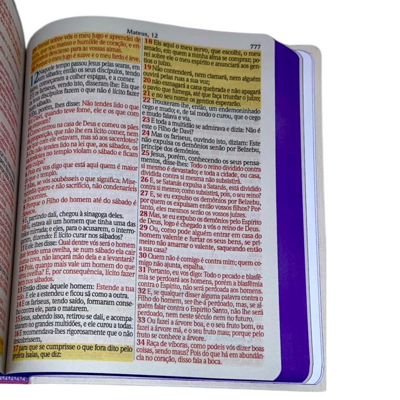 Bíblia Sagrada Cristã Letra Jumbo Grande Capa Dura Com Harpa ARC Arranjo Floral Com Capa Protetora