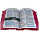 Bíblia Arranjo Flores Letra Grande Capa Dura Com Harpa Feminina Arc