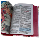 Bíblia Arranjo Flores Letra Grande Capa Dura Com Harpa Feminina Arc