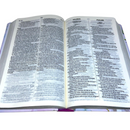 Bíblia Holy Bible Bilingue Lilás Letra Gigante Capa Dura Feminina Nvi - Português e Inglês