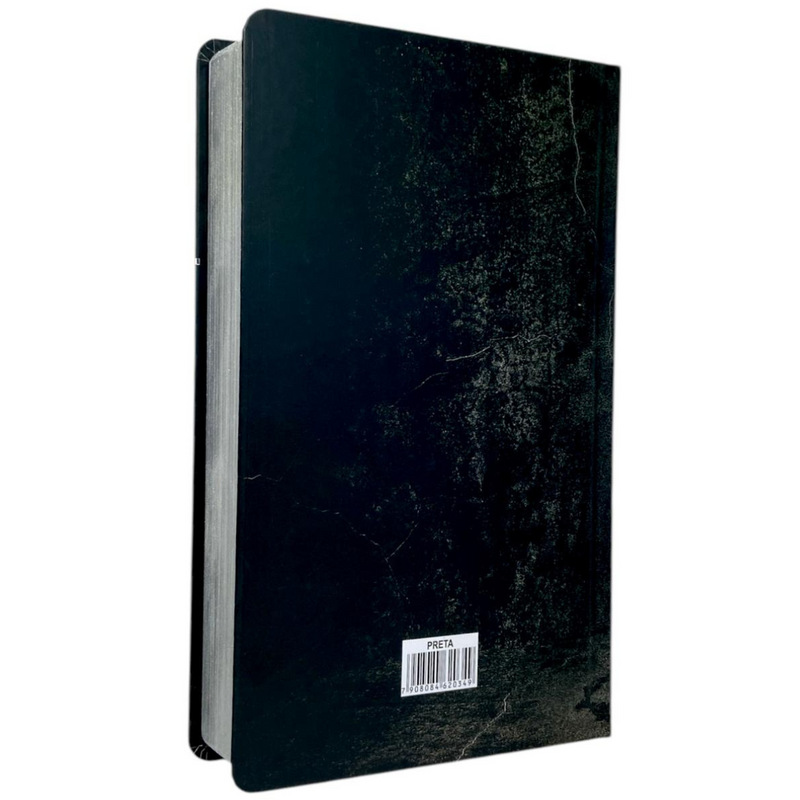 Bíblia Holy Bible Bilingue Preta Letra Gigante Capa Dura Masculina Nvi - Português e Inglês