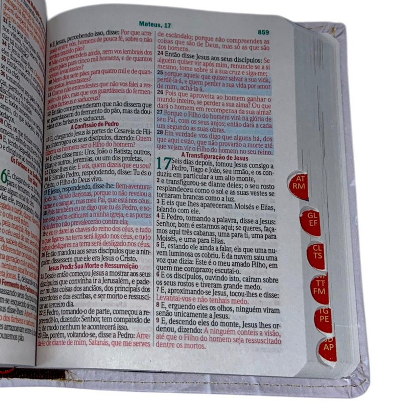 Bíblia Amor e Fé Letra Grande Capa Flexível Com Harpa e Índice Feminina e Masculina Arc