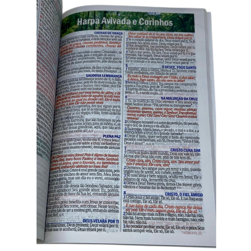 Bíblia Coroa De Espinhos Letra Gigante Capa Brochura Com Harpa Masculina e Feminina Arc