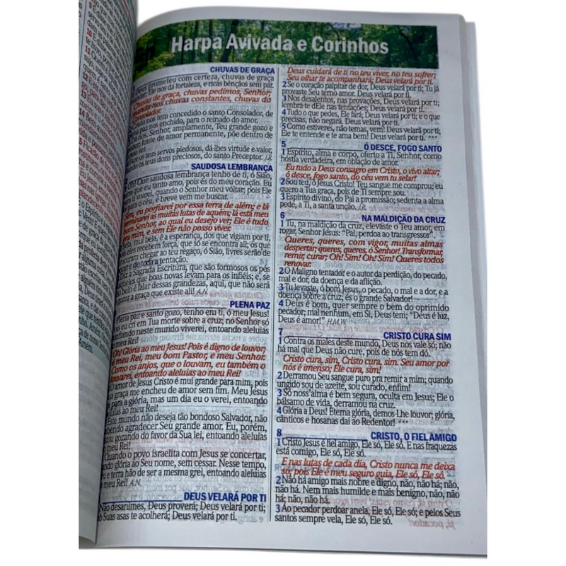 Bíblia Coroa Preta Letra Gigante Capa Brochura Com Harpa Masculina e Feminina Arc