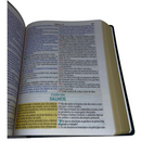 Bíblia Cor Preta Trigo Letra Jumbo Capa Dura Com Harpa Masculina Arc