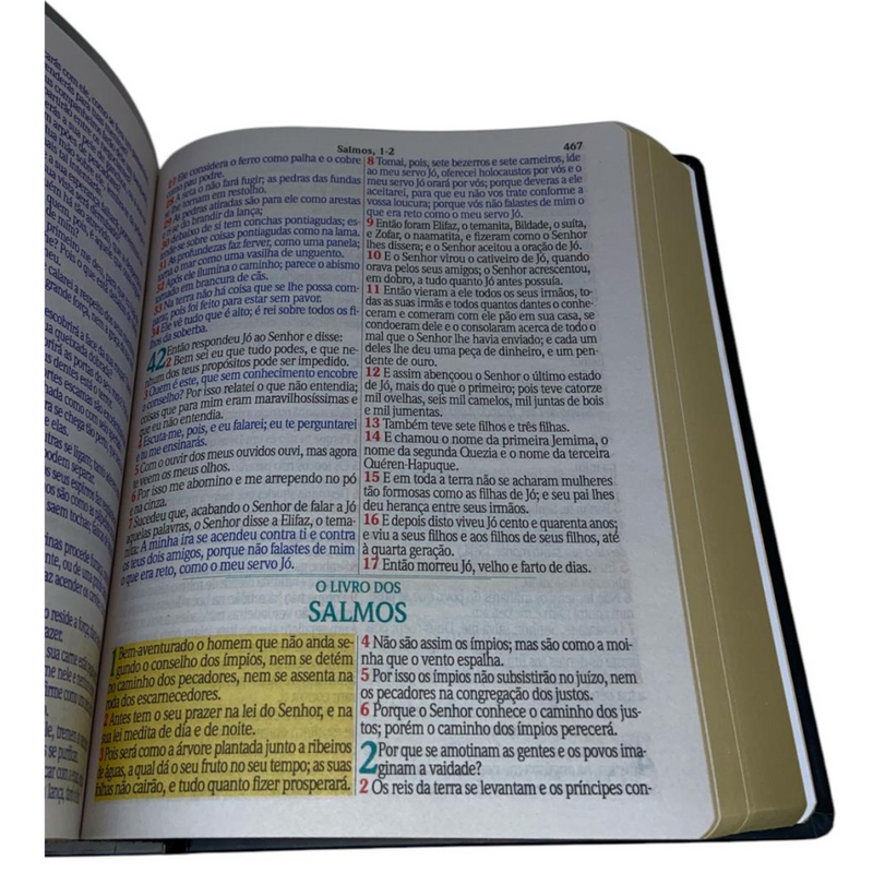 Bíblia Cor Preta Trigo Letra Jumbo Capa Dura Com Harpa Masculina Arc