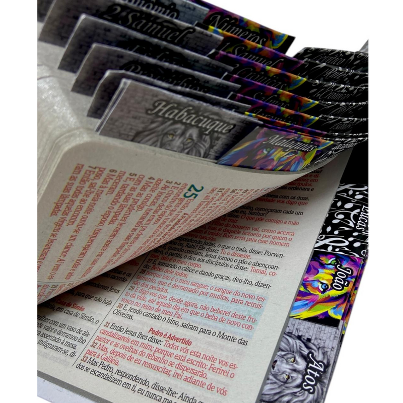 Bíblia Cruz Branca Letra Gigante Capa Flexível Com Harpa E Abas Coladas Masculina Arc