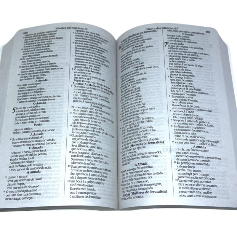 Bíblia Cruz Florida Letra Gigante Capa Brochura Feminina Nvi