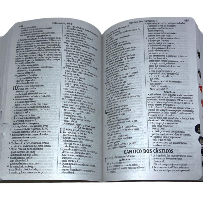 Bíblia Cruz Tradicional Letra Gigante Capa Brochura Com Índice Lateral Masculina e Feminina Nvi