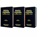 Kit 3 Bíblias Masculinas PPM Preta Sagrada Letra Gigante Semi Flexível  Harpa ARC