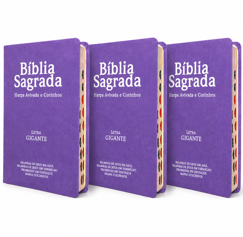 Kit 3 Bíblias Feminina Sagrada Letra Gigante Semi Flexível PPM Lilás Harpa com Índice ARC
