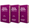 Kit 3 Bíblias Feminina PPM Pink Sagrada Letra Gigante Semi Flexível  Harpa ARC Feminina