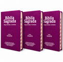 Kit 3 Bíblias Feminina PPM Pink Sagrada Letra Gigante Semi Flexível  Harpa ARC Feminina