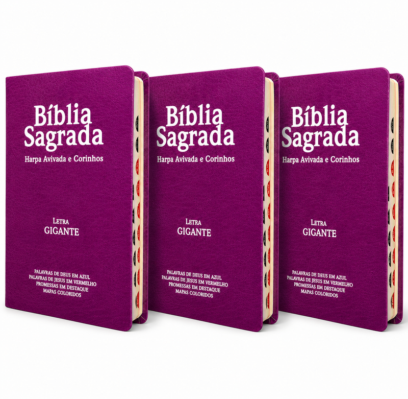 Kit 3 Bíblias Feminina PPM Pink Sagrada Letra Gigante Semi Flexível  Harpa ARC Feminina