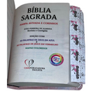 Bíblia Deus Floral Letra Gigante Capa Flexível Com Harpa E Abas Feminina Arc