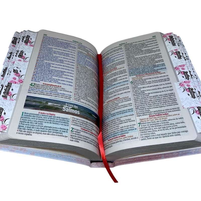 Bíblia Deus Floral Letra Gigante Capa Flexível Com Harpa E Abas Feminina Arc