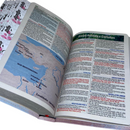 Bíblia Deus Floral Letra Gigante Capa Flexível Com Harpa E Abas Coladas Feminina Arc