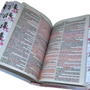 Bíblia Deus Floral Letra Gigante Capa Flexível Com Harpa E Abas Coladas Feminina Arc