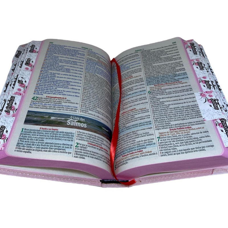 Bíblia Deus Gratidão Letra Gigante Capa Flexível Com Harpa E Abas Feminina Arc