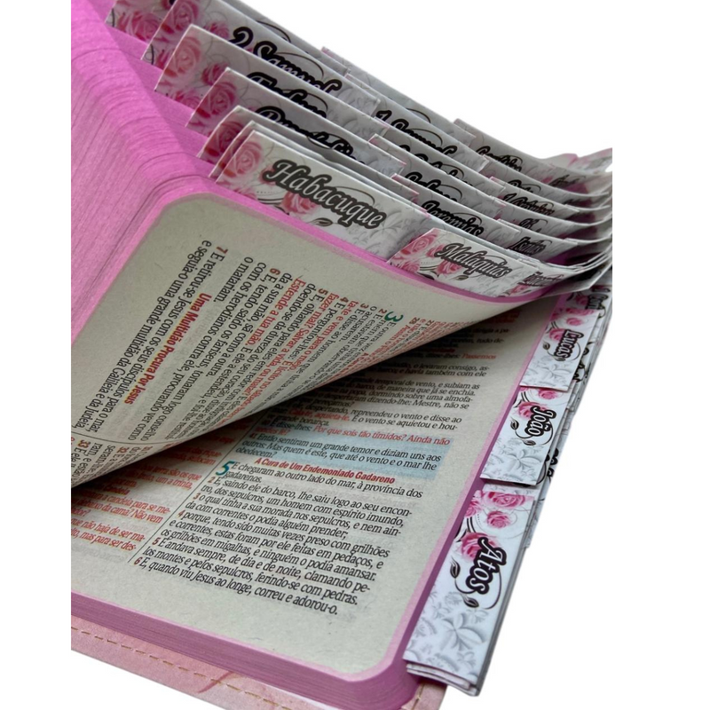 Bíblia Deus Gratidão Letra Gigante Capa Flexível Com Harpa E Abas Coladas Feminina Arc