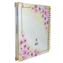 Bíblia Arranjo Bege Letra Normal Com Elástico e Medalhão Com Espaço Anotações Feminina Nvi SB