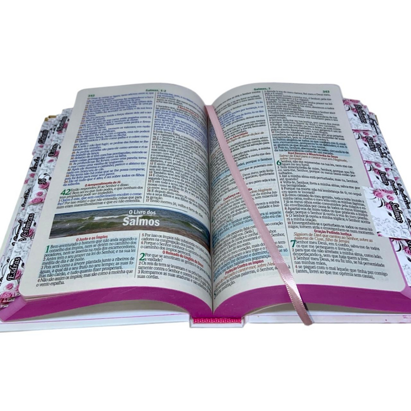 Bíblia Capa Dura Com Elástico Rosa E Medalhão Letra Gigante Com Harpa - Leão Flores Rosa E Aba Feminina