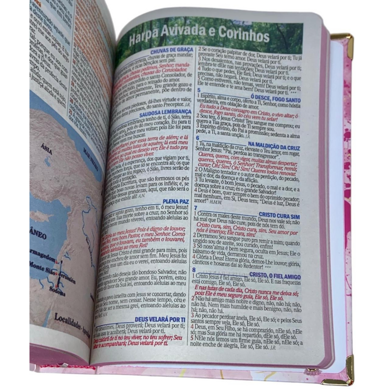 Bíblia Capa Dura Com Elástico Rosa E Medalhão Letra Gigante Com Harpa - Seja Forte + Índice