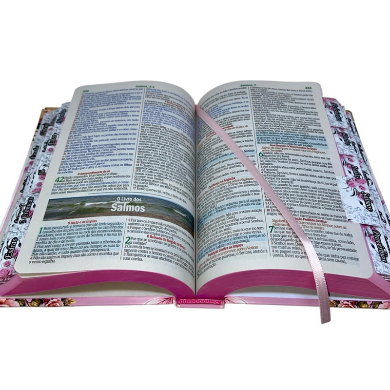 Bíblia Capa Dura Com Elástico Rosa E Medalhão Letra Gigante Com Harpa - Filha Do Rei E Aba Feminina