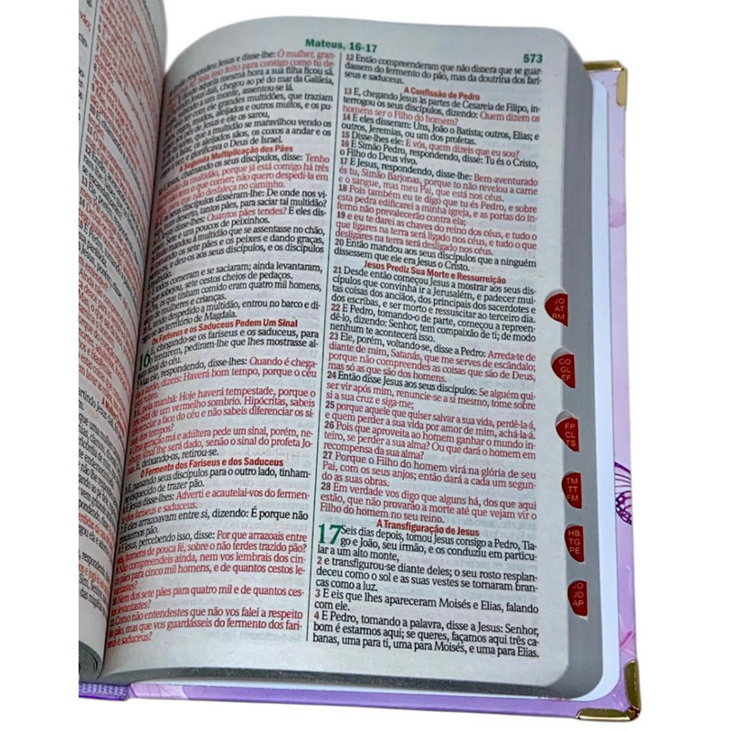 Bíblia Capa Dura Com Elástico Rosa E Medalhão Letra Gigante Com Harpa - Escolhida por Deus E Índice