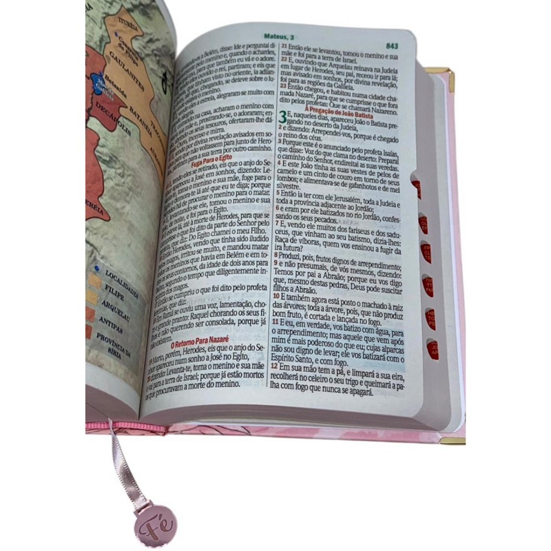 Bíblia Sagrada Letra Hipergigante PPM Capa Dura Jardim Rosa Feminina Com Harpa ARC e Índice