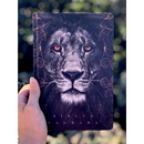 Bíblia Leão Crinza e Laranja Letra Normal Capa Dura Masculina Com Índice Naa