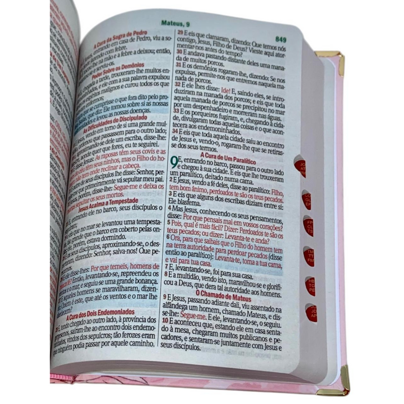 Bíblia Sagrada Letra Hipergigante PPM Capa Dura Jardim Rosa Feminina Com Harpa ARC e Índice