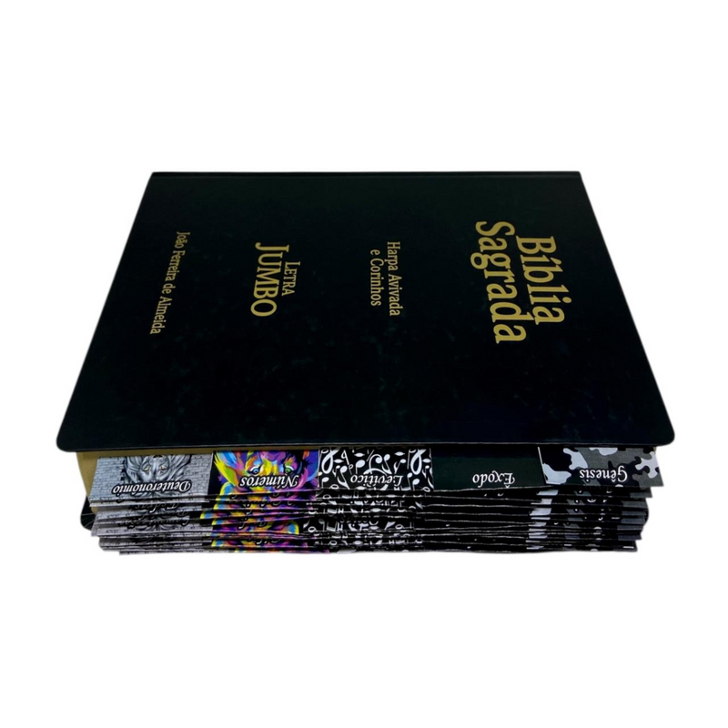Bíblia Cor Preta Trigo Letra Jumbo Capa Dura Com Harpa e Aba Adesiva Masculina