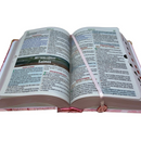 Bíblia Sagrada Letra Hipergigante PPM Capa Dura Jardim Rosa Feminina Com Harpa ARC e Índice