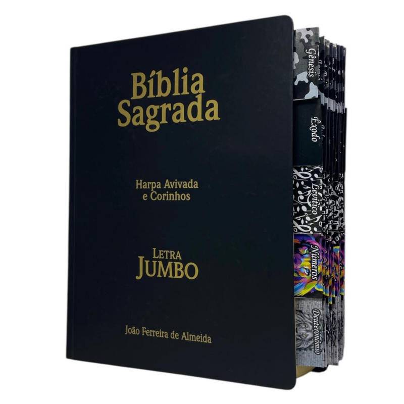 Bíblia Cor Preta Trigo Letra Jumbo Capa Dura Com Harpa e Aba Adesiva Masculina