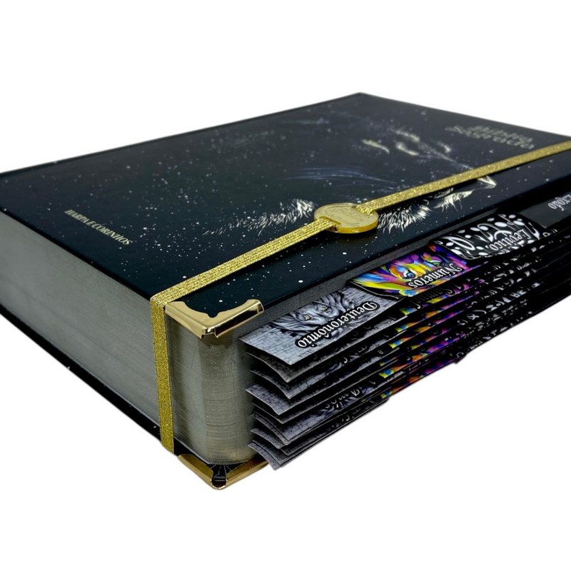 Bíblia Sagrada Letra Hipergigante Capa Dura Leão Universo Com Harpa e Abas Leão ARC