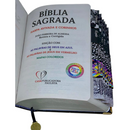 Bíblia Sagrada Letra Hipergigante Capa Dura Leão Universo Com Harpa e Abas Leão ARC